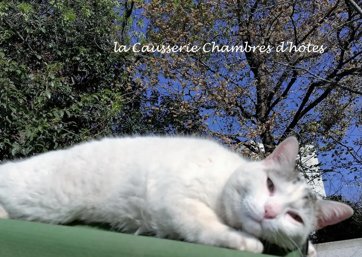 La Causserie, 2 Chambres D'Hotes, 2 A 4 Invites, Pour Vous Seuls Gramat Oda ve Kahvaltı
