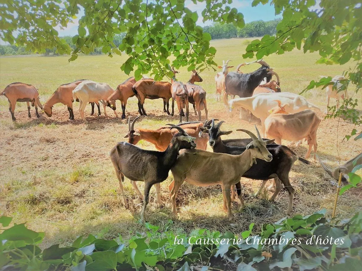La Causserie, 2 Chambres D'Hotes, 2 A 4 Invites, Pour Vous Seuls Gramat 0*,  Fransa